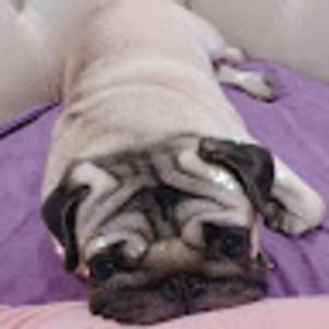 Meet your Posher, Luke